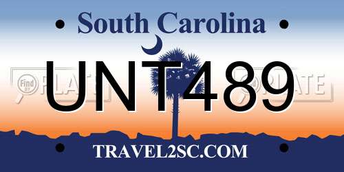 UNT489 South Carolina License Plate
