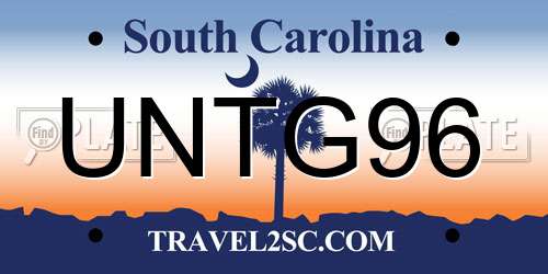 UNTG96 South Carolina License Plate