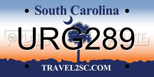 URG289 South Carolina License Plate