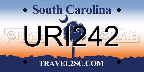 URI242 South Carolina License Plate