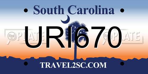 URI670 South Carolina License Plate