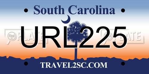 URL225 South Carolina License Plate