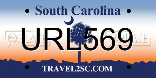URL569 South Carolina License Plate