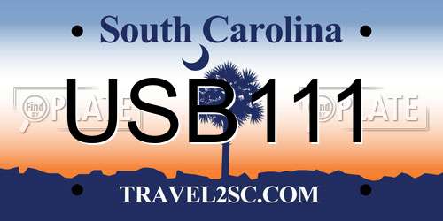 USB111 South Carolina License Plate