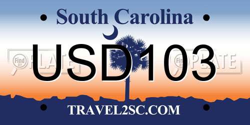 USD103 South Carolina License Plate