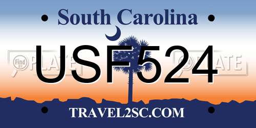USF524 South Carolina License Plate