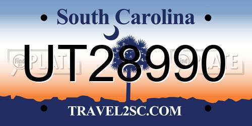 UT28990 South Carolina License Plate