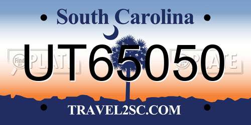 UT65050 South Carolina License Plate