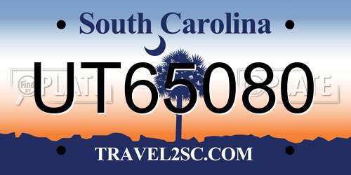 UT65080 South Carolina License Plate