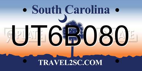 UT6B080 South Carolina License Plate