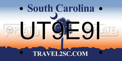 UT9E9I South Carolina License Plate