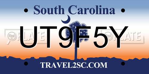 UT9F5Y South Carolina License Plate