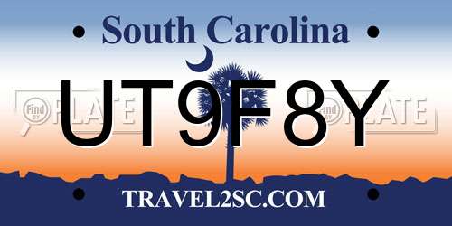 UT9F8Y South Carolina License Plate