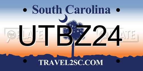 UTBZ24 South Carolina License Plate