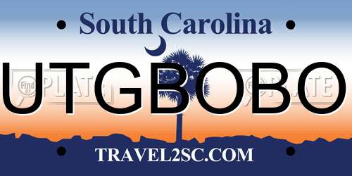 UTGBOBO South Carolina License Plate