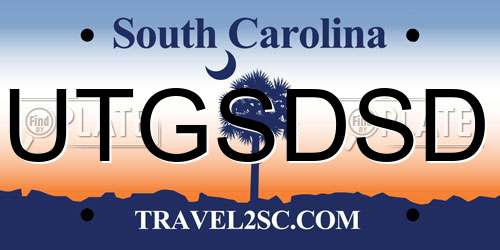 UTGSDSD South Carolina License Plate