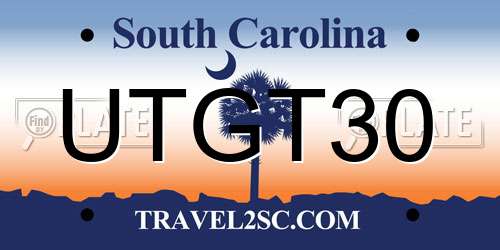 UTGT30 South Carolina License Plate