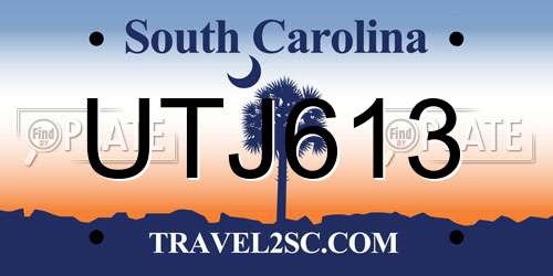 UTJ613 South Carolina License Plate