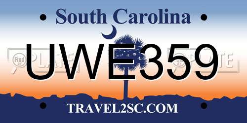 UWE359 South Carolina License Plate