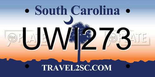 UWI273 South Carolina License Plate
