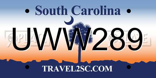 UWW289 South Carolina License Plate