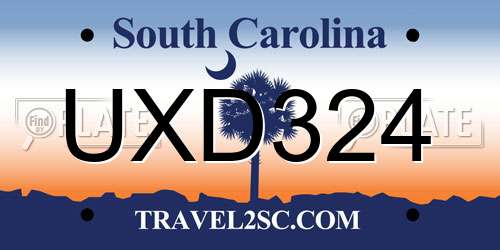 UXD324 South Carolina License Plate