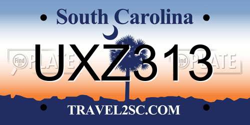 UXZ313 South Carolina License Plate