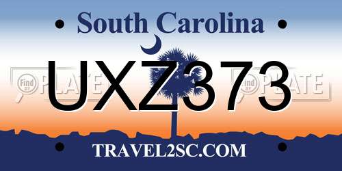 UXZ373 South Carolina License Plate