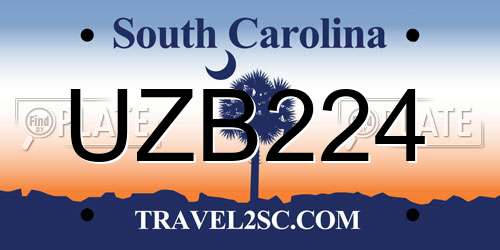 UZB224 South Carolina License Plate
