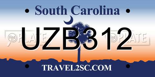 UZB312 South Carolina License Plate
