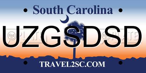 UZGSDSD South Carolina License Plate