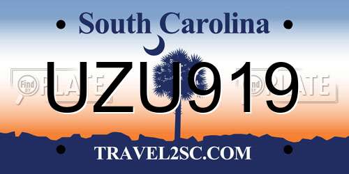 UZU919 South Carolina License Plate