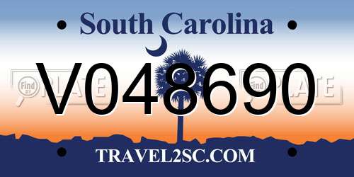 V048690 South Carolina License Plate