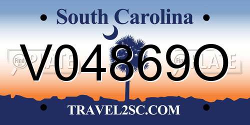 V04869O South Carolina License Plate