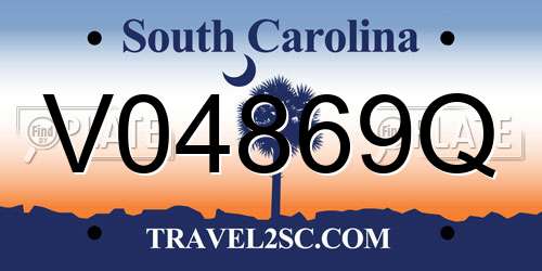 V04869Q South Carolina License Plate