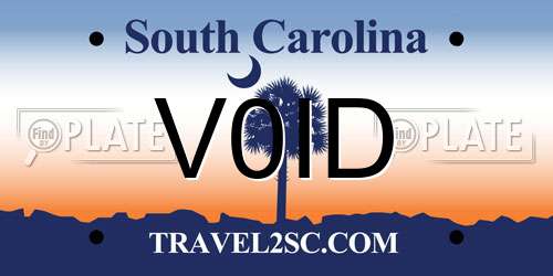 V0ID South Carolina License Plate