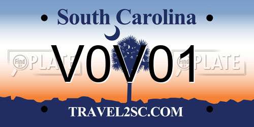 V0V01 South Carolina License Plate