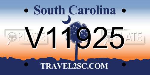 V11925 South Carolina License Plate