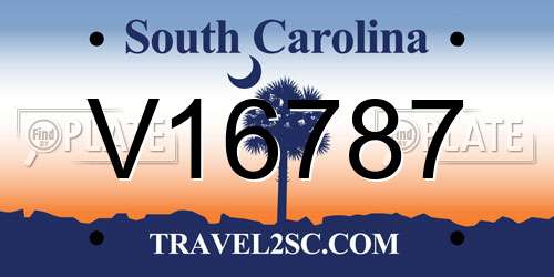 V16787 South Carolina License Plate