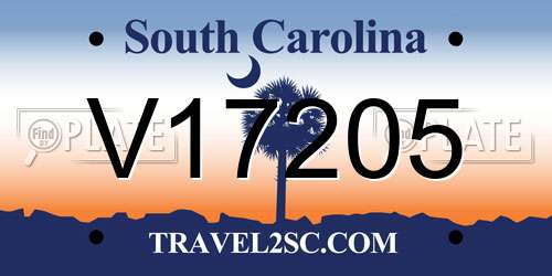 V17205 South Carolina License Plate