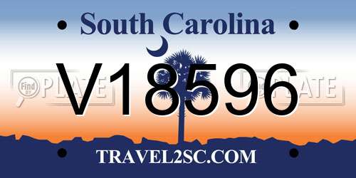 V18596 South Carolina License Plate