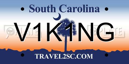 V1K1NG South Carolina License Plate