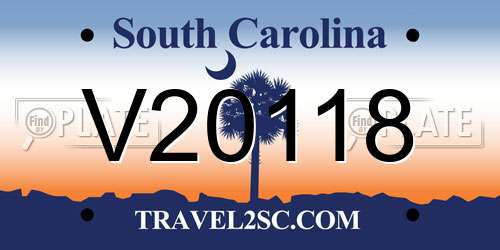 V20118 South Carolina License Plate