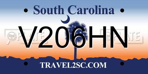 V206HN South Carolina License Plate