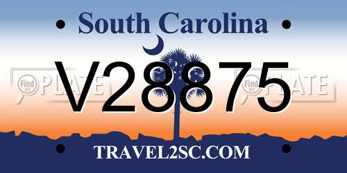 V28875 South Carolina License Plate