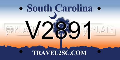 V2891 South Carolina License Plate