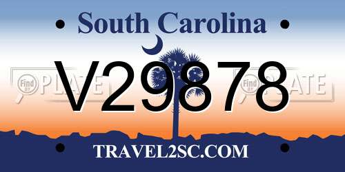 V29878 South Carolina License Plate