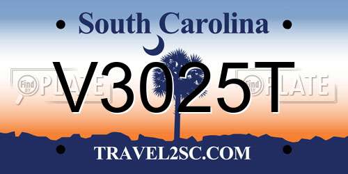 V3025T South Carolina License Plate