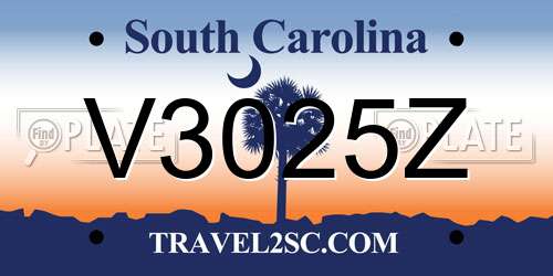 V3025Z South Carolina License Plate