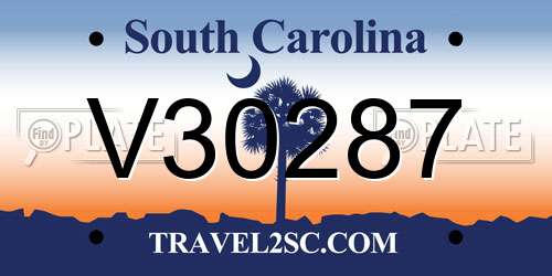 V30287 South Carolina License Plate